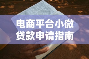 电商平台小微贷款申请指南：5步教你快速拿额度