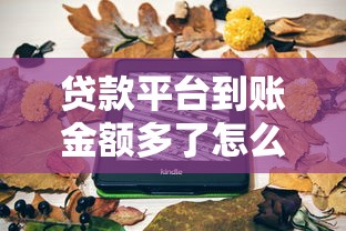 贷款平台到账金额多了怎么办?3步教你正确处理 贷款平台到账金额多了怎么办?3步教你正确处理