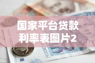 大麦钱包下款可信吗？实测3个关键细节帮你避坑