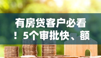 有房贷客户必看！5个审批快、额度高的正规贷款平台推荐