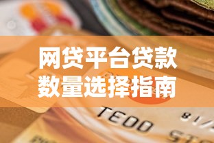 网贷平台贷款数量选择指南:合理规划避免风险 网贷平台贷款数量选择指南:合理规划避免风险