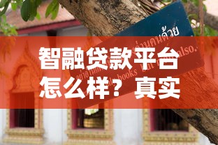 智融贷款平台怎么样？真实评测+避坑指南