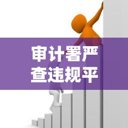审计署严查违规平台贷款：合规借款渠道如何选？