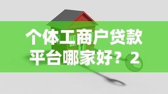 个体工商户贷款平台哪家好？2023最新申请攻略及注意事项
