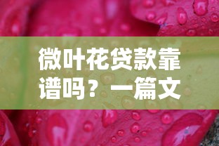 微叶花贷款靠谱吗？一篇文章讲透平台正规性判断方法