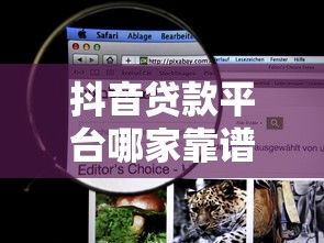 2025年惠侬借钱：分享5个能贷款的平台
