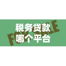 2025年建行车贷不通过？整理五个征信花了还能下款的几千小额度平台