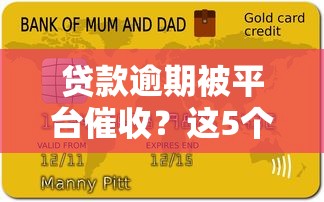 贷款逾期被平台催收?这5个应对方法你一定要知道 贷款逾期被平台催收?这5个应对方法你一定要知道