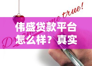 伟盛贷款平台怎么样？真实用户评测+贷款申请避坑指南