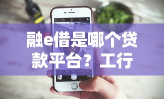 融e借是哪个贷款平台？工行贷款产品靠谱吗
