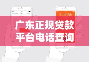 广东正规贷款平台电话查询及申请指南