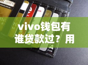 vivo钱包有谁贷款过？用户真实体验分享，这些细节要注意！
