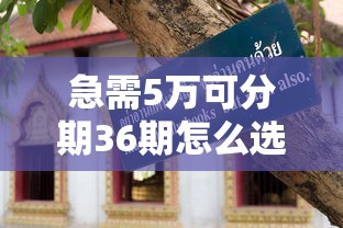 急需5万可分期36期怎么选？最全避坑指南来了