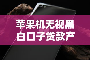 苹果机无视黑白口子贷款产品实测解析