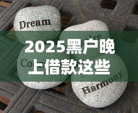 2025黑户晚上借款这些渠道你知道吗？亲身经历分享