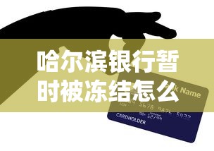 哈尔滨银行暂时被冻结怎么办？三步解决+备用贷款方案推荐