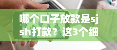 哪个口子放款是sjsh打款？这3个细节帮你快速匹配需求