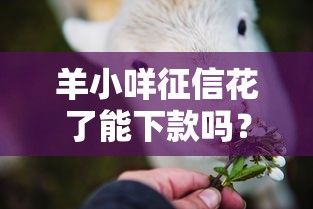 羊小咩征信花了能下款吗？这些方法或许能帮你解决难题