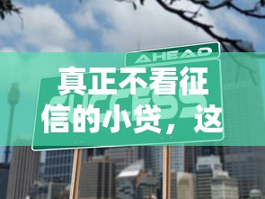 真正不看征信的小贷，这几个平台或许能帮到你！