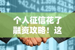 个人征信花了融资攻略！这些方法助你快速解决资金难题