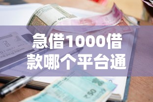 急借1000借款哪个平台通过快？实测5个小额贷款渠道