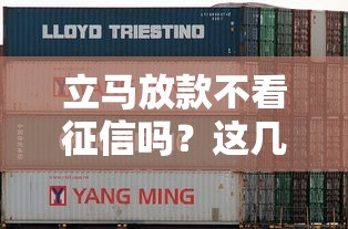 立马放款不看征信吗？这几个渠道或许能帮到你