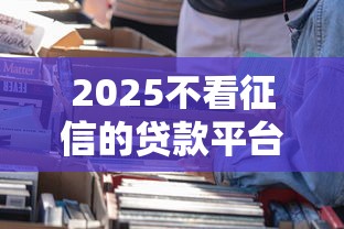 2025不看征信的贷款平台一定能下款？这5个渠道实测有效