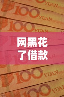 网黑花了借款口子论坛？这3个方法帮你解决资金难题