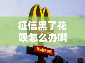 征信黑了花呗怎么办啊？别慌，3招教你补救攻略
