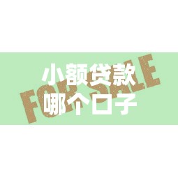 小额贷款哪个口子好下？这5个平台通过率高、审核快