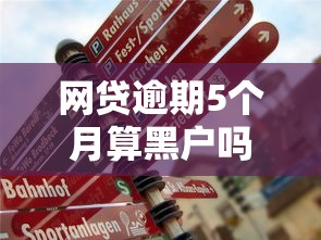 网贷逾期5个月算黑户吗？真实情况你可能想不到