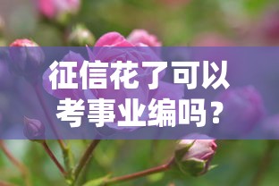 征信花了可以考事业编吗？这些影响和补救方法要知道