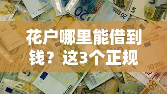 花户哪里能借到钱？这3个正规渠道快速解决难题