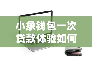 小象钱包一次贷款体验如何？真实反馈+平台对比