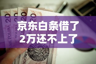 京东白条借了2万还不上了？试试这5个解决办法
