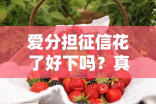 爱分担征信花了好下吗？真实用户经验帮你避坑