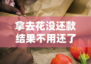 拿去花没还款结果不用还了？真实情况揭秘