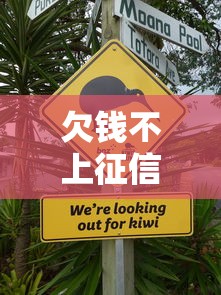 欠钱不上征信吗？这5种情况你可能不知道
