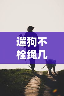遛狗不栓绳几次上征信？这些情况可能影响你的贷款审批