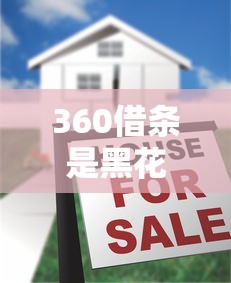 360借条是黑花口子吗？真实使用体验大揭秘