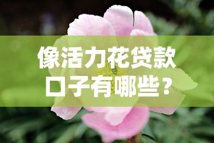 像活力花贷款口子有哪些？这5个靠谱平台审核快门槛低