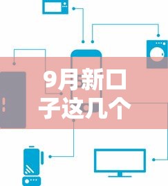 9月新口子这几个平台放款快、门槛低，缺钱不用愁！