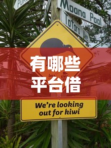 有哪些平台借钱不上征信？实测这几个平台不影响信用记录