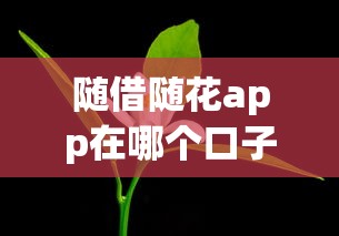 随借随花app在哪个口子里面？这几个渠道靠谱又好用