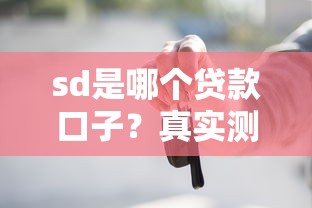 sd是哪个贷款口子？真实测评+避坑指南，这些平台更靠谱