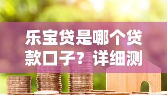 乐宝贷是哪个贷款口子？详细测评+真实用户反馈