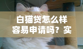 白猫贷怎么样容易申请吗？实测告诉你审核快不快！