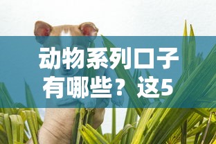 动物系列口子有哪些？这5款靠谱贷款平台值得一试