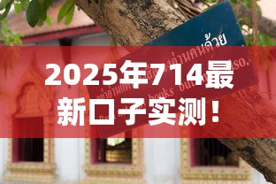 2025年714最新口子实测！这3个避坑技巧必须看