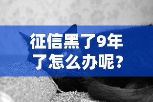 征信黑了9年了怎么办呢？老铁别慌试试这些方法